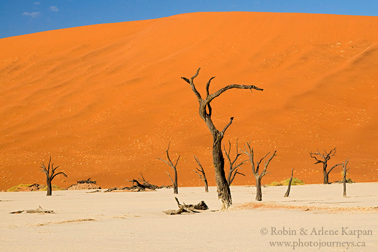 Dead Vlei, Namibia