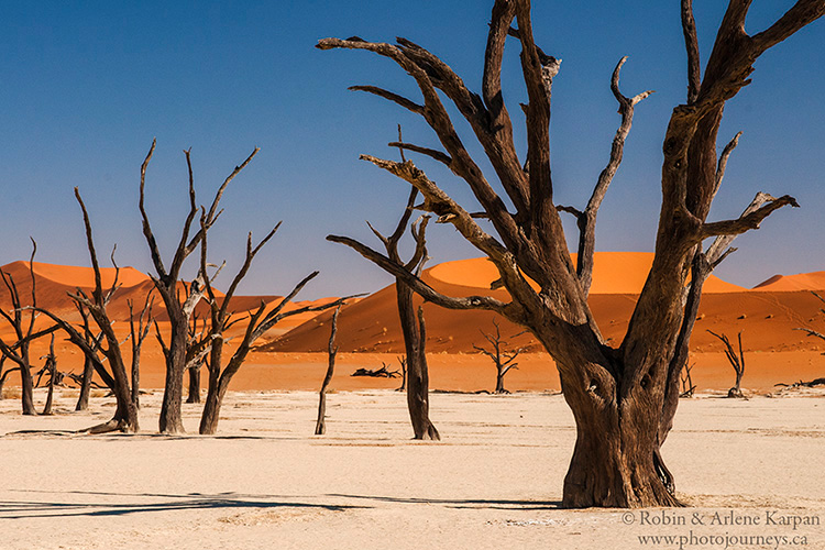 Dead Vlei, Namibia