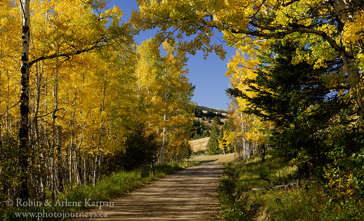 Fall along the Battle Creek Road, Cypress Hills, SK