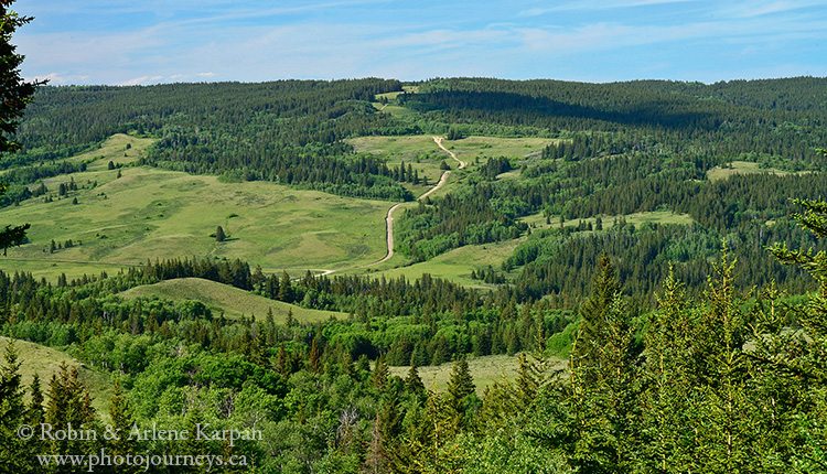 Battle Creek Valley, Cypress Hills, SK