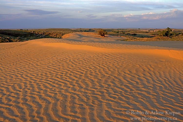 Great Sand Hills, Saskatchewan