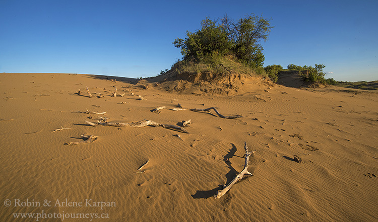 Dunes, Douglas Provincial Park, Saskatchewan