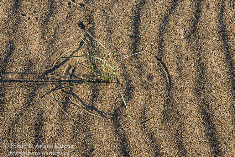 Dunes, Douglas Provincial Park, Saskatchewan