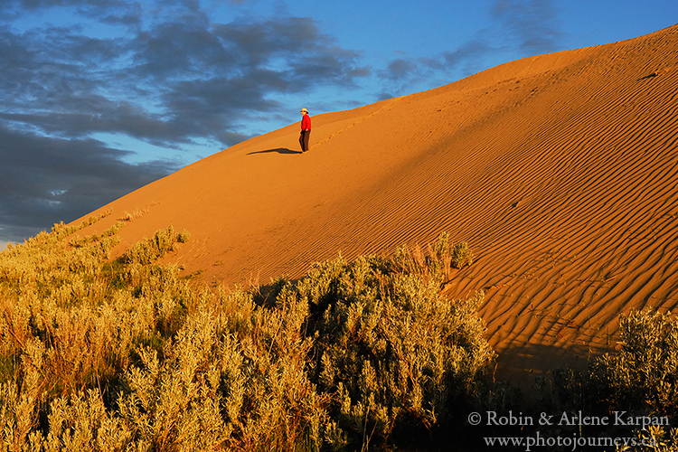 Great Sand Hills Saskatchewan