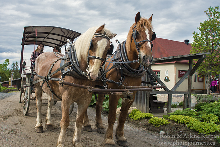 Touring the extensive grounds of Le Baluchon Eco Resort by carriage.